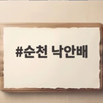 순천 낙안배 추석 선물세트 고르는 법과 보관 팁 순천 낙안배