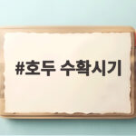 호두 수확시기 언제가 좋을까 청피 갈라짐으로 확인하세요 호두 수확시기