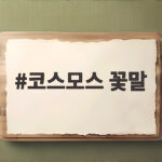 코스모스 꽃말