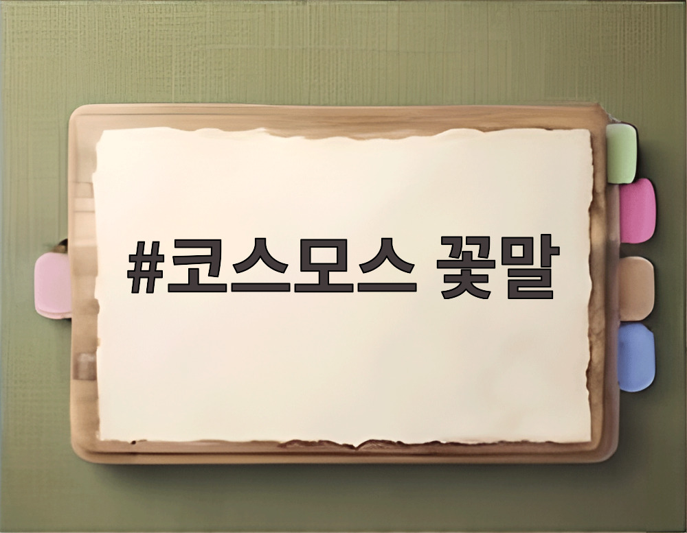 코스모스 꽃말