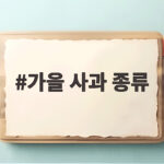 가을 사과 종류 제철 품종별 맛과 고르는 법 가을 사과 종류
