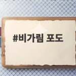 비가림 포도 고르는 법부터 보관까지 알려드려요 비가림 포도