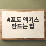 포도 엑기스 만드는 법 3가지, 집에서 건강하게 완성하기 포도 엑기스 만드는 법
