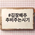 김장배추 추비주는시기 이렇게 하면 속이 꽉 찬 배추를 만나요 김장배추 추비주는시기