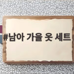 남아 가을 옷 세트 예산별로 알차게 준비하는 실제 쇼핑 이야기 남아 가을 옷 세트