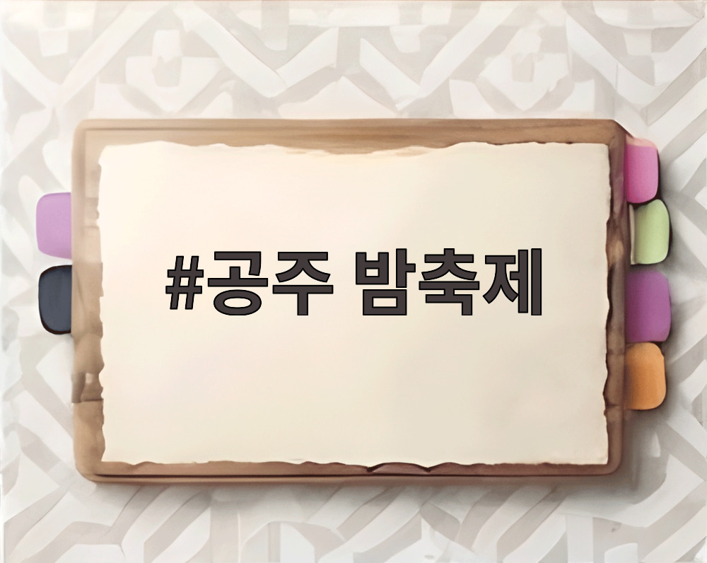 공주 밤축제 금강신관공원 야경과 무대 모습