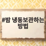 밤 냉동보관하는 방법 오래 두고 맛있게 먹는 보관 팁 밤 냉동보관하는 방법