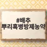 배추 뿌리혹병방제농약