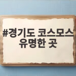 경기도 코스모스 유명한 곳