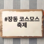 장동 코스모스 축제 무료 입장 만개 시기 주차 팁 한눈에 정리 장동 코스모스 축제