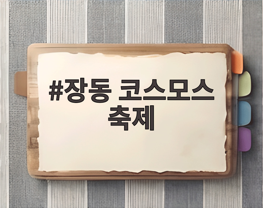 장동 코스모스 축제에서 활짝 핀 분홍빛 꽃밭 풍경