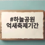 하늘공원 억새축제기간 10월 17일부터 23일까지 7일간 열려요 하늘공원 억새축제기간