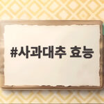사과대추 효능 제대로 알고 드세요 가을 제철 건강 과일 완전 정복 사과대추 효능