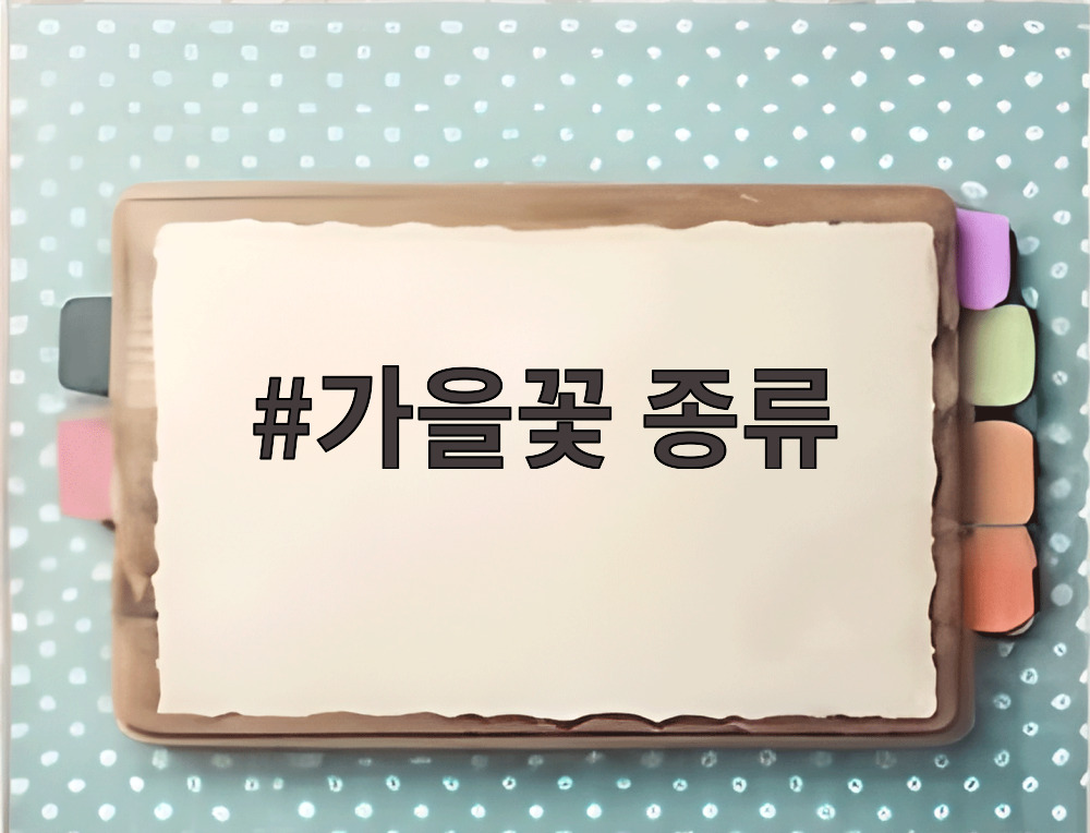 가을꽃 종류