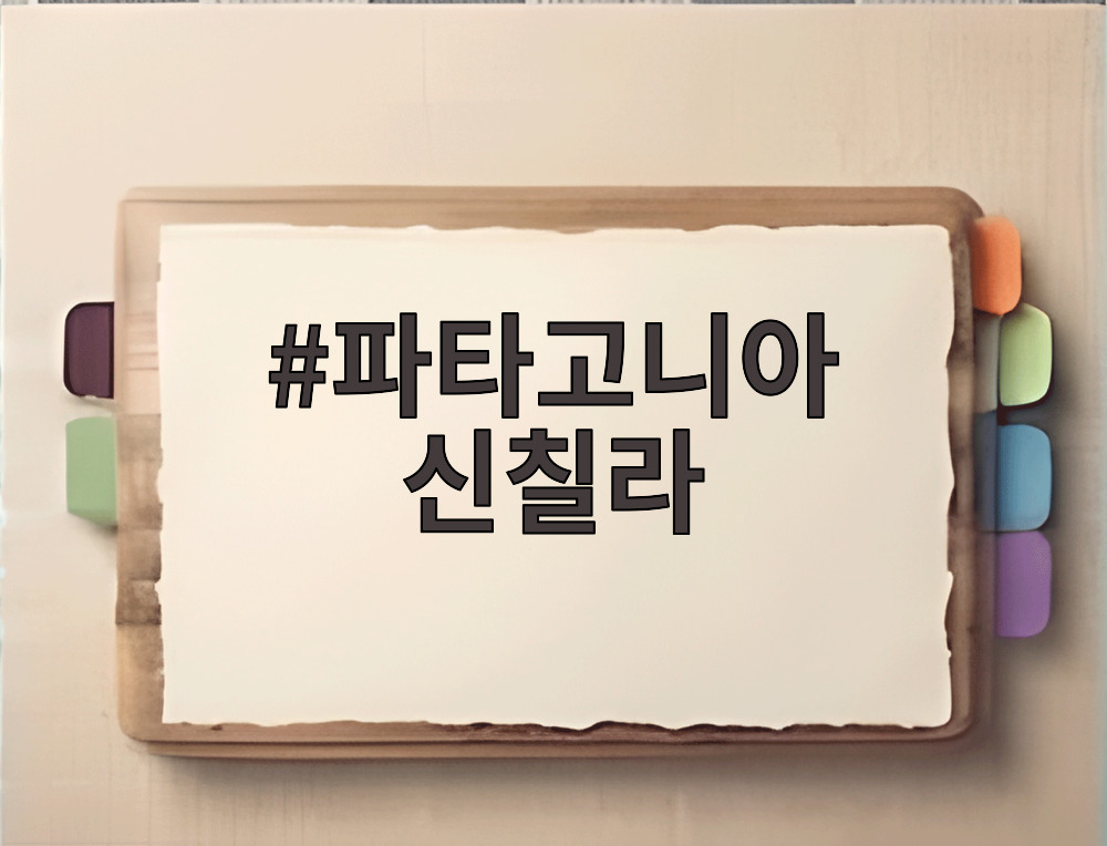 파타고니아 신칠라