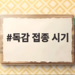 독감 접종 시기 올해는 언제부터 시작될까요 대상별 일정과 주의사항 독감 접종 시기