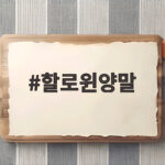 할로윈양말 고르는 방법과 아이와 함께하는 캠핑 분위기 연출 팁 할로윈양말