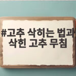 고추 삭히는 법과 삭힌 고추 무침 한 번 만들어 두면 밥상이 달라져요 고추 삭히는 법과 삭힌 고추 무침
