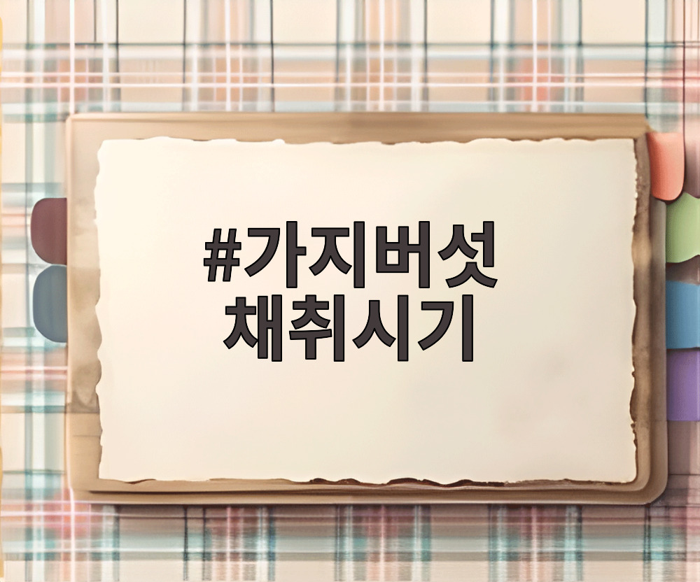 가지버섯 채취시기