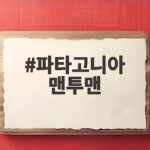 파타고니아 맨투맨 오래 입는 비결 사이즈부터 세탁까지 파타고니아 맨투맨