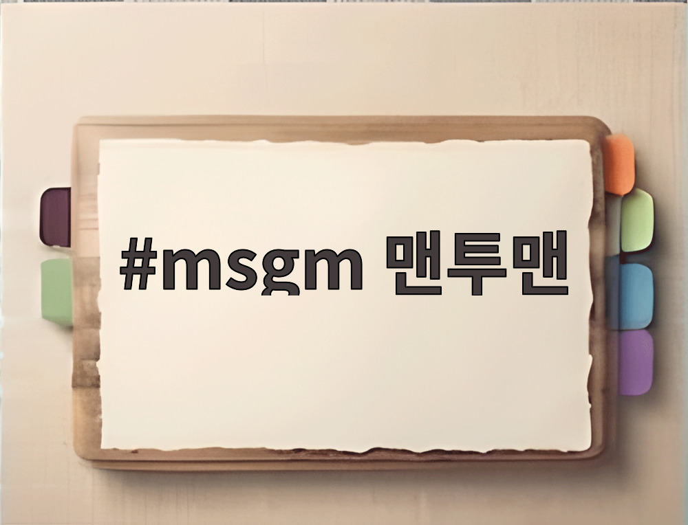 msgm 맨투맨