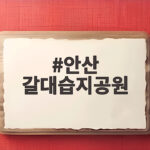 안산 갈대습지공원
