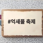 억새풀 축제 서울 가을 나들이 일정과 관람 팁 미리 확인하세요 억새풀 축제