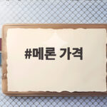 메론 가격