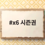x6 시즌권