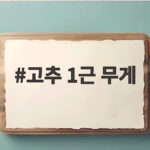 고추 1근 무게 500g 600g 차이 확인하고 김장 준비하세요 고추 1근 무게