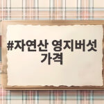 자연산 영지버섯 가격 1kg 시세와 좋은 품종 고르는 법 자연산 영지버섯 가격