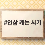 인삼 캐는 시기와 금산 인삼축제 일정 인삼 캐는 시기