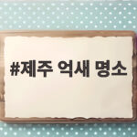 제주 억새 명소 다섯 곳의 가을 풍경을 한눈에 제주 억새 명소