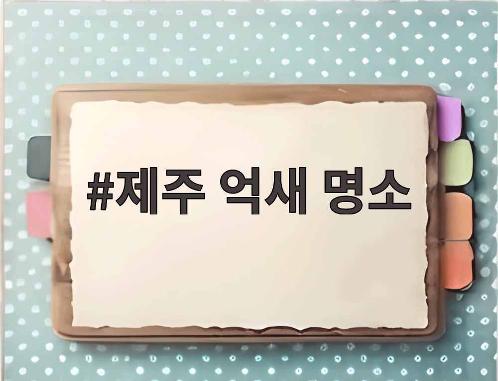 제주 억새 명소