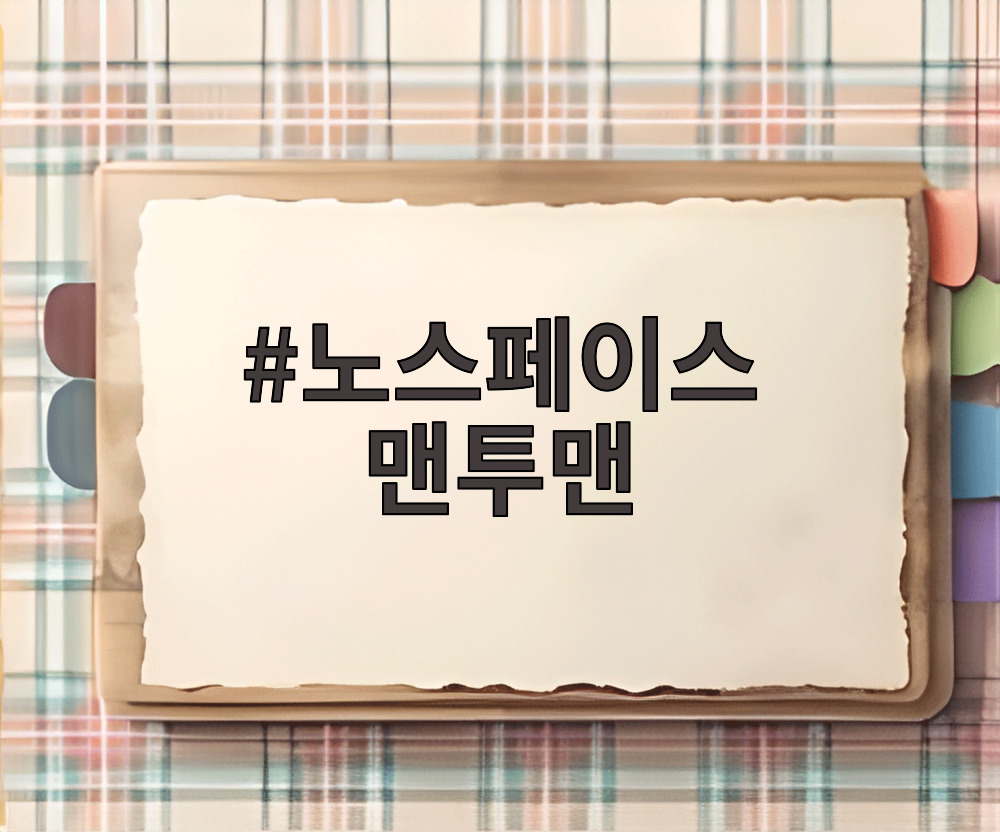 노스페이스 맨투맨