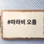 따라비 오름