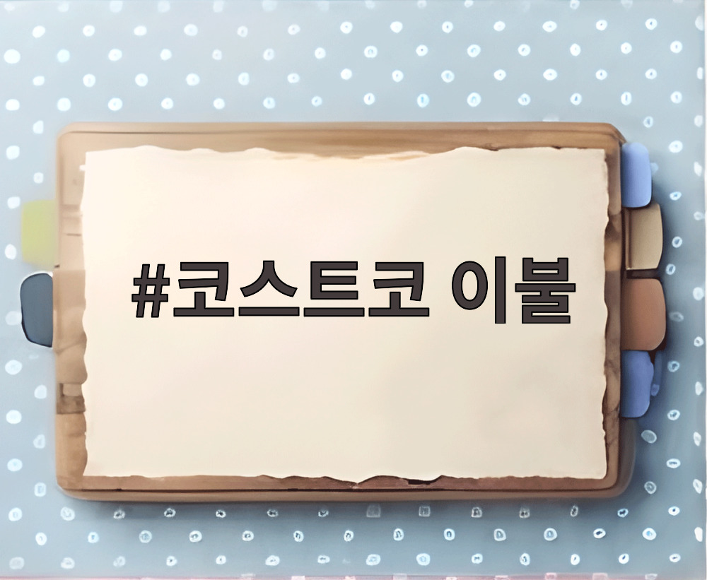 코스트코 이불