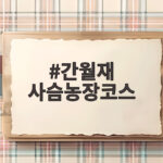 간월재 사슴농장코스 가을 억새와 낙조를 만나는 쉬운 산책 간월재 사슴농장코스
