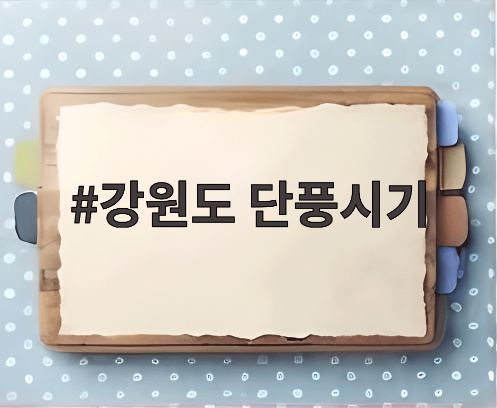 강원도 단풍시기