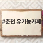 춘천 유기농카페 가을 핑크뮬리 명소에서 보내는 특별한 시간 춘천 유기농카페