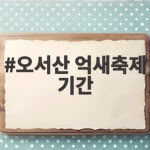 오서산 억새축제 기간 언제가 좋을까 은빛 능선과 서해 노을까지 오서산 억새축제 기간