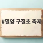 밀양 구절초 축제 하얀 꽃바다에 빠지는 가을 여행 밀양 구절초 축제