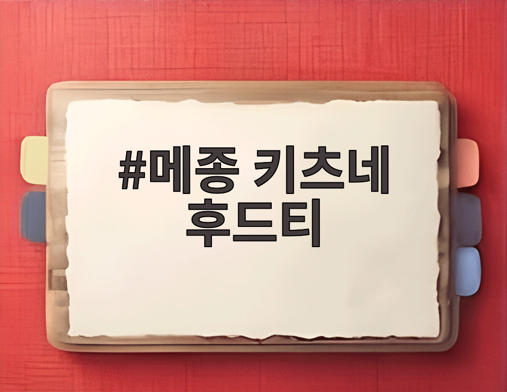 메종 키츠네 후드티