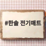한솔 전기매트로 겨울철 전기세 걱정 없이 따뜻하게 보내는 법 한솔 전기매트