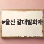 울산 갈대밭화재 그날의 진실과 우리가 지켜야 할 안전 수칙 울산 갈대밭화재