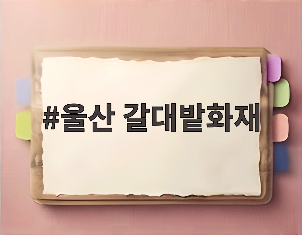 울산 갈대밭화재