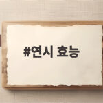 연시 효능