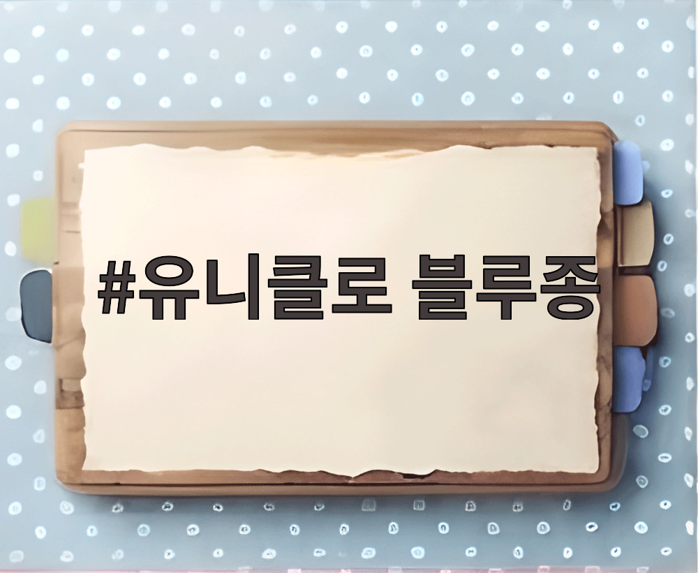 유니클로 블루종