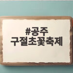공주 구절초꽃축제 산비탈이 하얗게 물드는 가을 명소 일정과 절정 시기 공주 구절초꽃축제