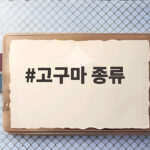 고구마 종류